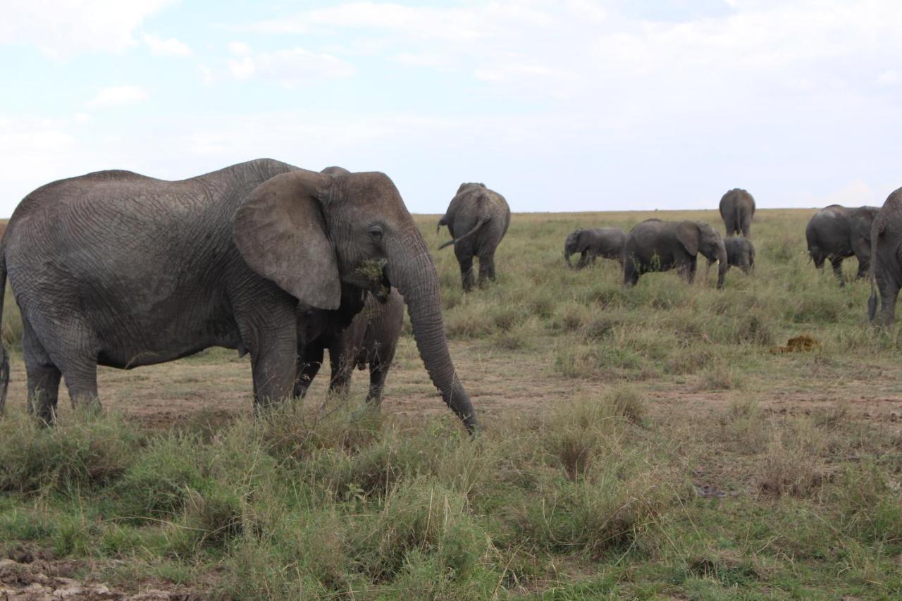 Mapito Tented Camp セレンゲティ エクステリア 写真